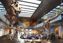 The museum includes a group of many arts which are being displayed such as American art, Latin art, Modern art and Islamic and Asian art. A museum is 